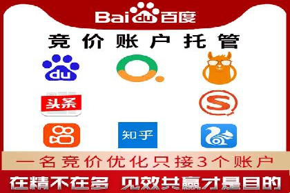 SEM代运营服务公司案例分析：数据驱动营销策略